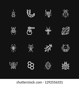 Editable 16 insect icons for web and mobile. Set of insect included icons line Ladybug, Beehive, Honeycomb, Butterfly, Grasshopper, Ant, Scorpion, Ladybird on black background