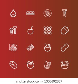 Editable 16 nut icons for web and mobile. Set of nut included icons line Coconut, Pistachio, Peanut, Seeds, Spices, Acorn, Caramel, Screw, Chocolate bar, Chestnut on red