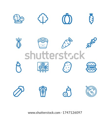 Editable 16 onion icons for web and mobile. Set of onion included icons line Sour soup, Aubergine, Cabbage, Courgette, Hamburguer, Potato, Spices, Vegetables on white background