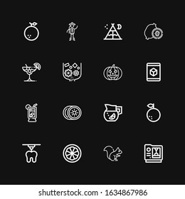 Editable 16 orange icons for web and mobile. Set of orange included icons line d, Squirrel, Orange, Lemonade, Kiwi, Pumpkin, Crusher, Cocktail, Tent, Chinese on black background