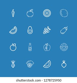 Editable 16 ripe icons for web and mobile. Set of ripe included icons line Beet, Watermelon, Lemon, Onion, Apple, Juice, Orange, Eggplant, Grapes, Avocado, Kiwi on blue background