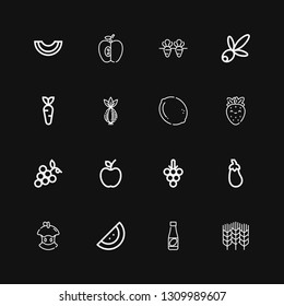 Editable 16 ripe icons for web and mobile. Set of ripe included icons line Wheat, Juice, Watermelon, Bitten apple, Aubergine, Grapes, Apple, Strawberry, Lemon on black background