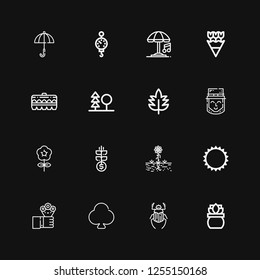Editable 16 spring icons for web and mobile. Set of spring included icons line Plant, Beetle, Clover, Flowers, Sun, Grow, Flower, Leprechaun, Leaf, Forest on black background