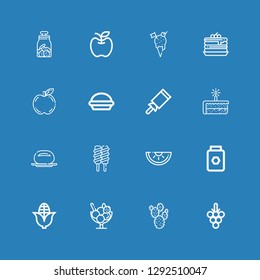 Editable 16 sweet icons for web and mobile. Set of sweet included icons line Grapes, Prickly pear, Ice cream, Corn, Honey, Watermelon, Bun, Cake, Candy, Pie on blue background