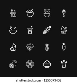 Editable 16 vegan icons for web and mobile. Set of vegan included icons line Cabbage, Salad, Vegan food, Lemon, Radish, Onion, Aubergine, Coconut, Peas, Smoothie on black background