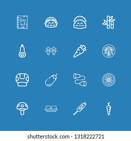 Editable 16 vegetable icons for web and mobile. Set of vegetable included icons line Carrot, Food, Croquette, Mushroom, Vegan food, Tin, Eggplant, Tofu, Butternut squash on blue background