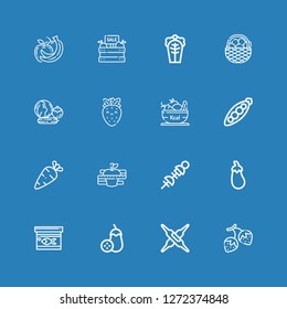 Editable 16 vegetables icons for web and mobile. Set of vegetables included icons line Strawberry, Calcium, Aubergine, Fish food, Vegetables, Diet, Peas, Fruit on blue background