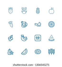 Editable 16 vitamin icons for web and mobile. Set of vitamin included icons line Wheat, Kiwi, Watermelon, Carambola, Apple, Bananas, Blueberry, Orange, Juice on white background
