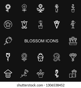 Editable 22 blossom icons for web and mobile. Set of blossom included icons line Flower, Diaspora, Bouquet, Chinese, Rose, Flowers, Geisha, Cotton, Flower pot on black background