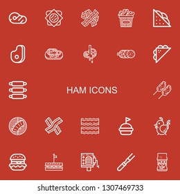 Editable 22 ham icons for web and mobile. Set of ham included icons line Meat, Sandwich, Bacon, Chicken, Steak, Butcher, Salami, Ribs, Hamburguer, Barrel organ on red background