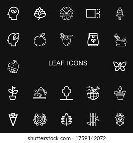 Editable 22 leaf icons for web and mobile. Set of leaf included icons line Eco, Hop, Clover, Crop, Pine tree, Ecology, Apple, Acorn, Tea bag, Seasoning, Butterfly on black background