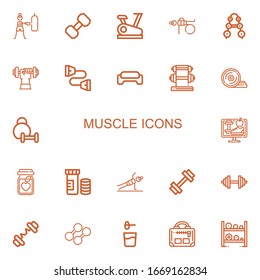Editable 22 iconos musculares para web y móvil. Conjunto de músculos incluidos íconos línea Fitness, Dumbbell, Stationary bike, Barbell, Chest expander, Gym, Placas de peso sobre fondo blanco