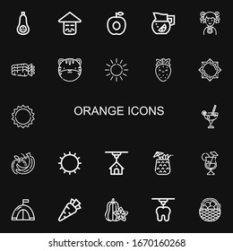 Bearbeitbar 22 orangefarbene Icons für Web und Mobile. Satz orangefarbener Ikonen Zeile Butternut Squash, Chinesisch, Apricot, Limonade, Karotten, Tiger, Sonne, Erdbeere auf schwarzem Hintergrund