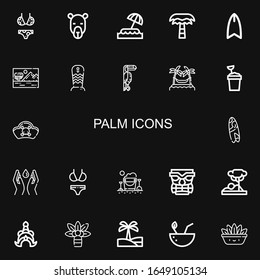 Editable 22 iconos de palma para web y móvil. Conjunto de palmas incluidas línea íconos Bikini, Camel, Isla, Palmera, Surfboard, Savannah, Toucan, Hamacas, Balde de Arena sobre fondo negro