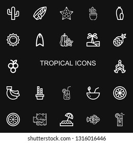 Editable 22 tropical icons for web and mobile. Set of tropical included icons line Cactus, Surfboard, Starfish, Sea urchin, Carambola, Oasis, Pineapple, Blueberry on black background