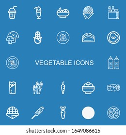 Editable 22 vegetable icons for web and mobile. Set of vegetable included icons line Smoothie, Salad, Stroopwafel, Food, Mushroom, Corn, Vegan food, Taco, Chili on blue background