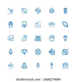 Editable 25 floral icons for web and mobile. Set of floral included icons line Flowers, Flower, Leaf, Terrarium, Flower pot, Monstera leaf, Bamboo, Clover on white background