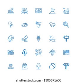 Editable 25 forest icons for web and mobile. Set of forest included icons line Palm tree, Acorn, Fruit tree, Sloth, Frog, Landscape, Desert, Tree, Ax, Camping on white background