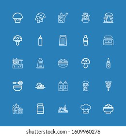 Editable 25 recipe icons for web and mobile. Set of recipe included icons line Salad, Chef, Cooking, Mayonnaise, Whisk, Sauce, Mushroom, Grater, Fryer, Shaker on blue background