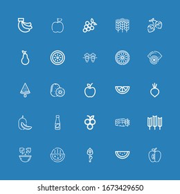 Editable 25 ripe icons for web and mobile. Set of ripe included icons line Apple, Watermelon, Asparagus, Lemon, Wheat, Carrots, Blueberry, Juice, Melon, Beet on blue background