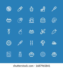 Editable 25 vegetable icons for web and mobile. Set of vegetable included icons line Salad, Dippel oil, Recipe book, Mushroom, Brochette, Food, Chili, Vegetables on blue background