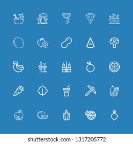 Editable 25 vegetarian icons for web and mobile. Set of vegetarian included icons line Beet, Pizza, Pepper, Cheese, Apple, Coconut, Pick, Smoothie, Lettuce on blue background
