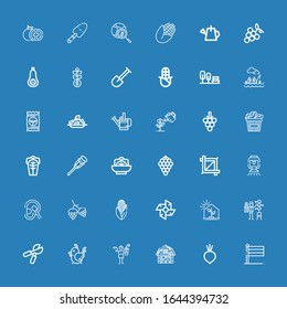 Editable 36 agriculture icons for web and mobile. Set of agriculture included icons line Holland, Beet, Barn, Gardener, Chicken, Pruning shears, Greenhouse on blue background