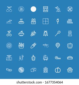 Editable 36 eating icons for web and mobile. Set of eating included icons line Picnic, Plum, Hotel, Bread, Corn, Measuring tape, Fitness, Pepper, Vegan food on blue background