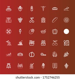 Editable 36 eating icons for web and mobile. Set of eating included icons line Grapes, Corn, Pepper, Picnic, Tuber, Fitness, Measuring tape, Plum, Bread, Baby food, Cherry on red