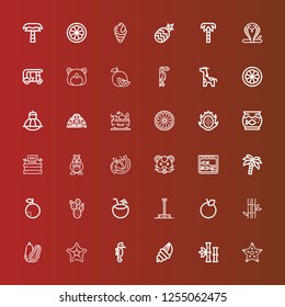 Editable 36 exotic icons for web and mobile. Set of exotic included icons line Starfish, Bamboo, Seashell, Seahorse, Coconut, Orange, Pole dance, Prickly pear, Coconut tree on red