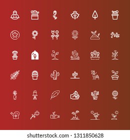 Editable 36 flora icons for web and mobile. Set of flora included icons line Sprout, Botanical, Plant, Flower, Watering can, Sunflower, Cactus, Leaf, Birch, Flowers, Diaspora on red