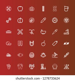 Editable 36 healthy icons for web and mobile. Set of healthy included icons line Tent, Donor, Strength, Mortar, Tooth, Prickly pear, Vegetables, Bmx, Baby, Fruit, Fish on red