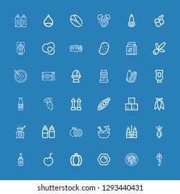 Editable 36 ingredient icons for web and mobile. Set of ingredient included icons line Asparagus, Tofu, Fried egg, Green pepper, Coconut, Mayonnaise, Onion on blue background