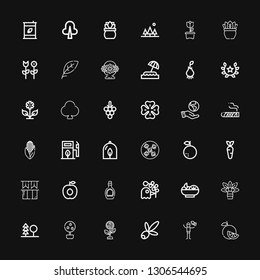 Editable 36 leaf icons for web and mobile. Set of leaf included icons line Orange, Dove, Olive, Growth, Money tree, Forest, Palm tree, Salad, Pigeon, Syrup on black background