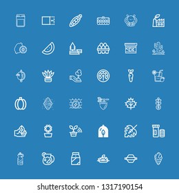 Editable 36 natural icons for web and mobile. Set of natural included icons line Seashell, Rolling pin, Rice, Milk, Juice, Bottle, Vitamins, Monstera leaf, Plant on blue background