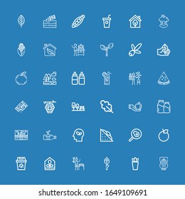 Editable 36 iconos orgánicos para web y móvil. Conjunto de iconos de línea orgánica que incluyen: Ketchup, Planta, Aspárragos, Jardinero, Invernadero, Reciclaje, Naranja, Huevo frito sobre fondo azul