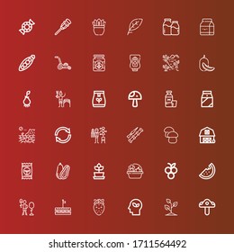 Editable 36 organic icons for web and mobile. Set of organic included icons line Mushroom, Sprout, Eco, Strawberry, Sandwich, Reforestation, Watermelon, Blueberry, Harvest on red