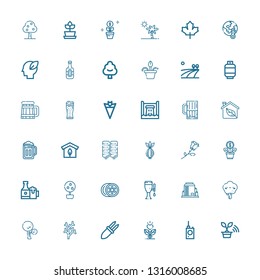 Editable 36 plant icons for web and mobile. Set of plant included icons line Tree, Bug detector, Growth, Corn, Coral, Tank, Beer, Lemon, Money tree, Beers on white background