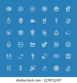 Editable 36 vegan icons for web and mobile. Set of vegan included icons line Aubergine, Mangosteen, Smoothie, Olive, Radish, Lemon, Tofu, Salad, Eggplant, Coconut on blue background