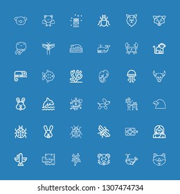 Editable 36 wildlife icons for web and mobile. Set of wildlife included icons line Dog, Whale, Hamster, Coral, Seaweed, Eagle, Troglodyte, Fish, Moth, Ladybug on blue background