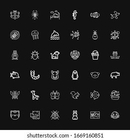Editable 36 wildlife icons for web and mobile. Set of wildlife included icons line Sea lion, Savannah, Rabbit, Ladybug, Seaweed, Tiger, Dog, Fish, Squirrel on black background