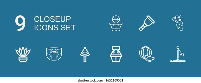 Editable 9 closeup icons for web and mobile. Set of closeup included icons line Ball, Watermelon, Witness, Diaper, Fern, Carrot, Wooden leg, Basketball on blue background