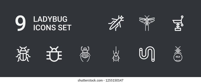 Editable 9 ladybug icons for web and mobile. Set of ladybug included icons line Ant, Worm, Beetle, Bug, Spring, Locust, Grasshopper on dark background