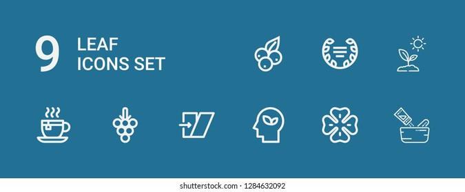 Editable 9 leaf icons for web and mobile. Set of leaf included icons line Seasoning, Clover, Eco, Shear, Grapes, Tea cup, Sprout, Laurel, Blueberry on blue background
