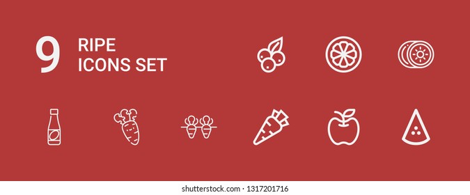 Editable 9 ripe icons for web and mobile. Set of ripe included icons line Watermelon, Apple, Carrot, Juice, Kiwi, Mangosteen, Blueberry on red background