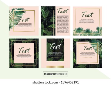 Editable background design template on palm style with gold elements