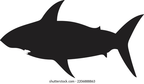 editable black silhouette white shark vector logo