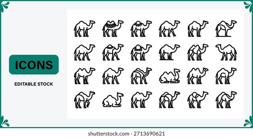 Conjunto de iconos de camello editables para diseño digital y proyectos gráficos