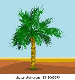 Editable Date Palm Tree on Desert Background With Grass on the Bottom Vector Illustration for Islamic or Arab Nature and Culture Also Healthy Foods Related Design