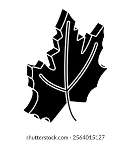 Editable design icon of maple leaf